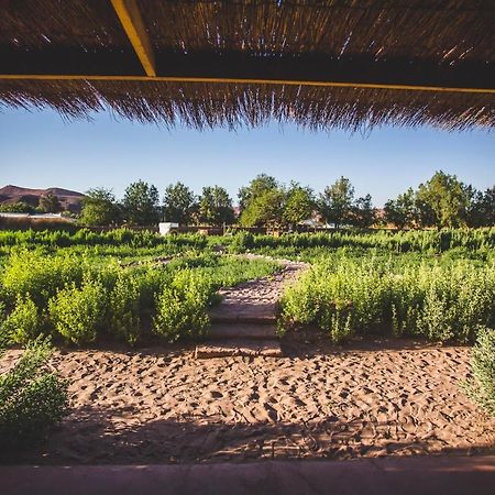 Eco-Lodge El Andinista San Pedro de Atacama Eksteriør billede