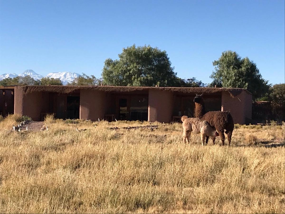 Eco-Lodge El Andinista San Pedro de Atacama Eksteriør billede