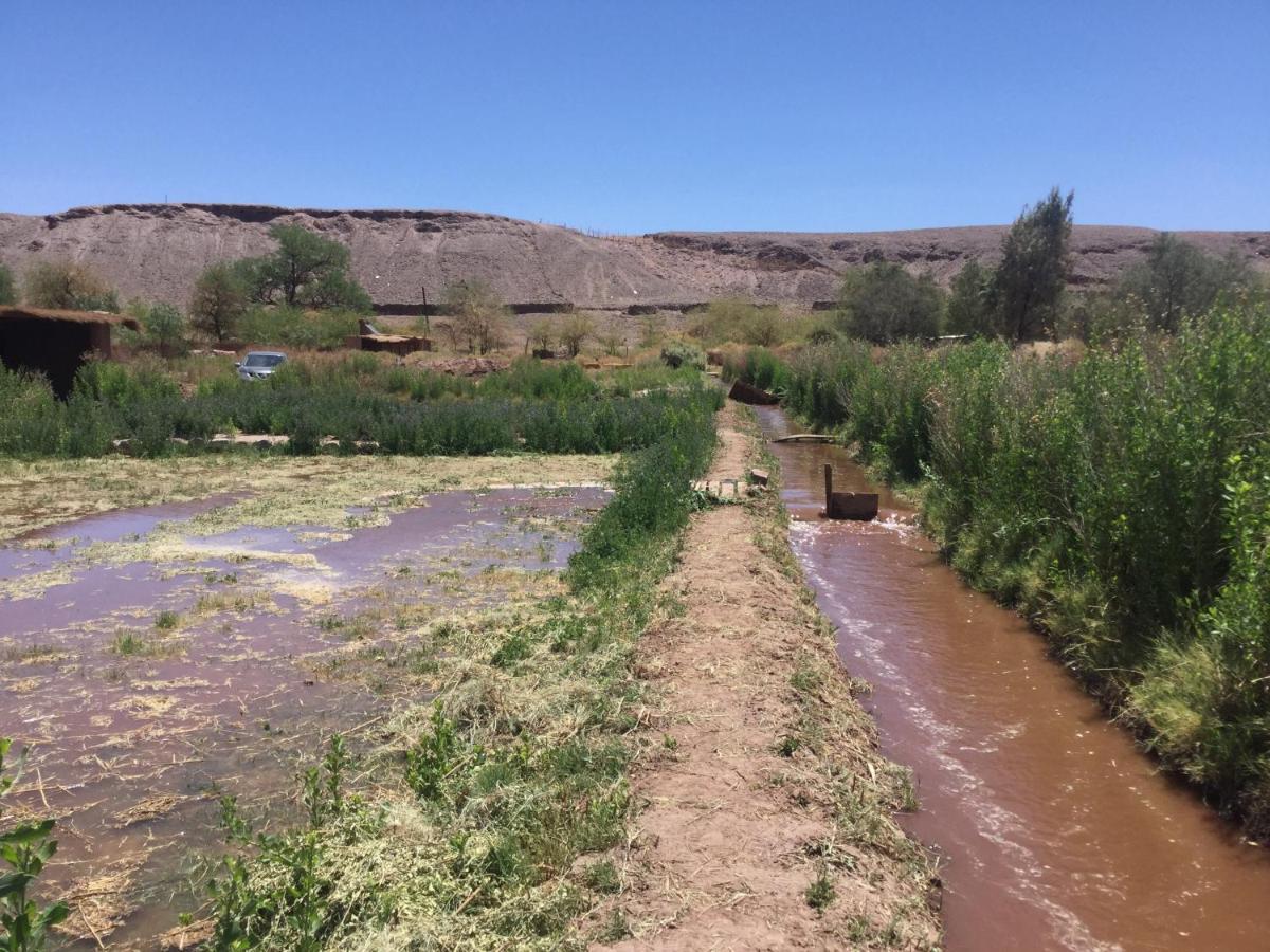 Eco-Lodge El Andinista San Pedro de Atacama Eksteriør billede