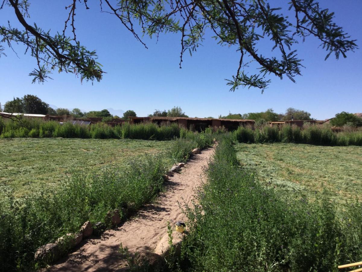 Eco-Lodge El Andinista San Pedro de Atacama Eksteriør billede