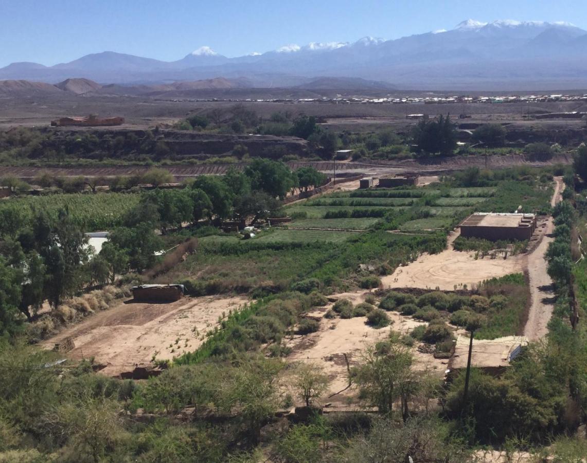 Eco-Lodge El Andinista San Pedro de Atacama Eksteriør billede