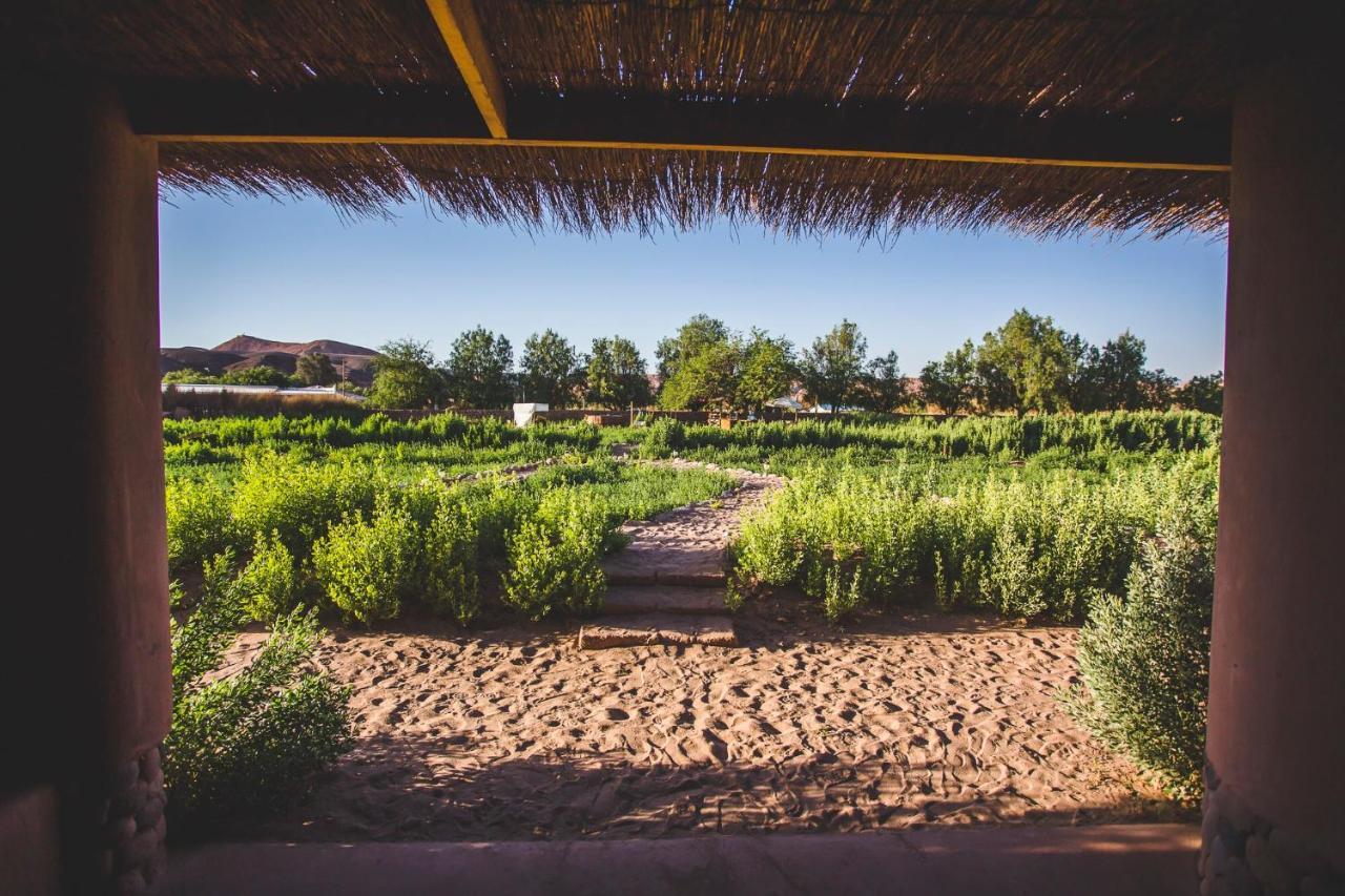 Eco-Lodge El Andinista San Pedro de Atacama Eksteriør billede