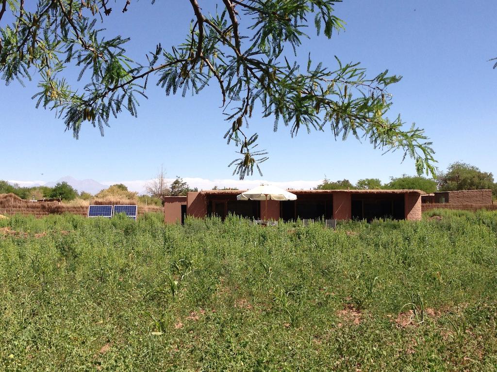 Eco-Lodge El Andinista San Pedro de Atacama Eksteriør billede