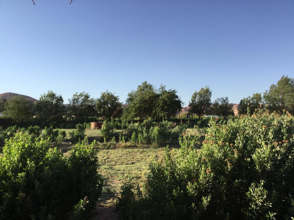 Eco-Lodge El Andinista San Pedro de Atacama Eksteriør billede